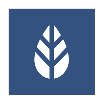MoreApp Forms